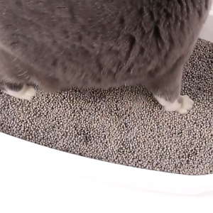 PROMO 12 LITER PASIR KUCING WANGI TOTORO WANGI TAHAN LAMA