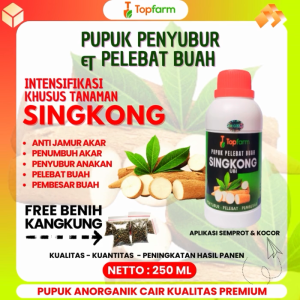 Pupuk Singkong Cepat Besar: Meningkatkan Produksi & Kualitas Umbi
