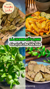 Lá chanh sấy khô 1kg (Làm khô gà gia vị món ăn nấu nước xông giải cảm)