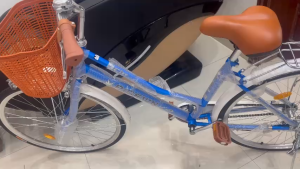 Xe đạp nữ Mini mầu xanh New 26 inch mẫu mới 2024