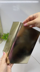 กระปุกออมสินสไตล์โมเดิร์น ดีไซน์ลูกไม้ วัสดุเหล็กดัด รุ่นลิมิเต็ด ตารางออมวันละ 100 บาท