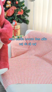 Thú nhồi bông gấu Lotso ôm trái dâu dễ thương - Size từ 40 đến 90cm - Quà tặng gấu bông gấu dâu êm mịn.