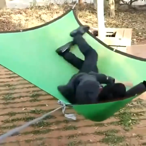 90% Anti-UV Sun Shade Net Sun Shades Awnings Garden Net Privacy Screen Balcony Backyard Deck Patio Fence Jaring