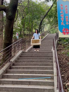 1/2/3/4/5 Layers Foldable Storage box Cabinet 2 Doors Multipurpose Storage Box  Storage Cabinet