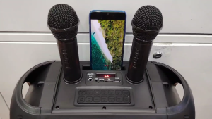 ZQS4247 Dual Microphone Bluetooth Portable Karaoke Speaker Build-in 3600 mAh RGB colorful light with Remote