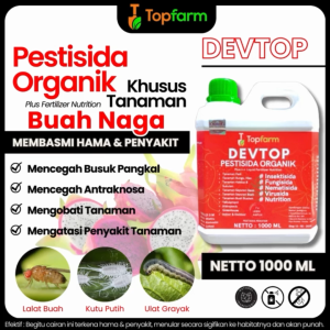 Obat Jamur Tanaman Buah Naga: Solusi Anti Hama & Penyakit