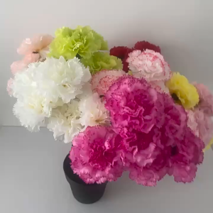 Single Carnation Artificial Flower for Mother Teachers Day Home Decors Bunga Hiasan Hari Ibu Guru Raya Jamuan 仿真康乃馨