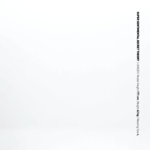 SSST Basic Logo Boxy White Heavyweight Tshirt