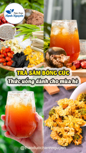 Trà sâm bông cúc set nấu 5-7 lít nước trà mát gan thanh nhiệt giảm nóng trong tặng kèm hạt chia