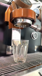 DOIWHAN สารกาแฟโรบัสต้า เวียดนาม (Vietnam Robusta G1 SC16)