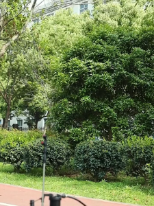 เครื่องพ่นสารแบบสะพายหลัง ควบคุมด้วยมือ เหมาะสำหรับสวนผลไม้และการเกษตร