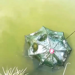 4-8Hole BuBu Payung Jala Jaring ikan udang BuBu Folding Fishing Net Shrimp Cage Nylon Automatic Foldable Catch Fish Trap