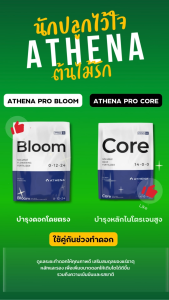 [ส่งฟรี] Athena Pro Bloom บำรุงดอกโดยเฉพาะ 0-12-24 ขนาด ถุง 2 และ 5 ปอนด์ อาเธน่าบลูม