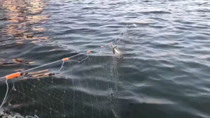 Outdoor Durable Fishing Net Single/Three-Layer Nylon Floating Net Durable Sink Net Fish Gill Net Wooden buoy ﻿