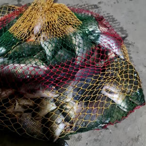 Essen Si Jitu Ikan Mas SUPER PREMIUM Target Rame Induk Lomba Gebyar 30ML