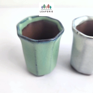 The Leaferie Petit Bonsai Pot (Series 7) plant pots. flowerpot . flowerpots . planter . planters . succulent