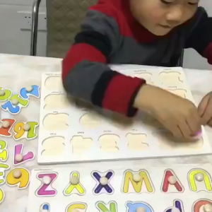 (มีคูปองส่งฟรี) จิ๊กซอว์จุกไม้ เกมจับคู่ภาพ ของเล่นไม้ ของเล่นเสริมพัฒนาการ V55 พร้อมส่งจากไทย