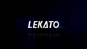 LEKATO WS-100 Wireless Guitar Transmitter Receiver 2.4GHz With Charging Box Rechargeable Wireless Guitar System