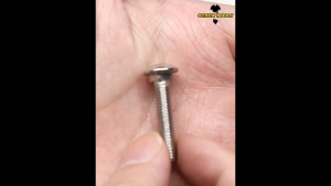 สกรู น็อต หัวกลม คอเหลี่ยม สแตนเลส 304 เกลียวมิล หยาบ M4 M5 M6 / Cup Head Square Neck Bolt SUS304 น็อตหัวกลม น็อตหัวกลมสแตนเลส - Lazada