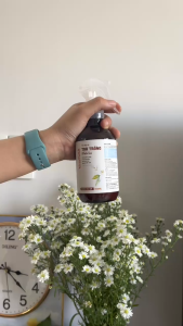 Bình Xịt Phòng Thơm Tinh Dầu Trà Trắng Khử Mùi Quần Áo VINA TƯƠI 100ml/500ml Hương Thơm Tự Nhiên Thuần Khiết