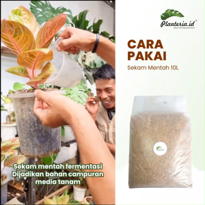 Media Tanam Sekam Fermentasi Alami Siap Pakai Pengunungan By Planteria.id