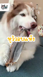 Hoya Barkery ขนมสุนัข หูกระต่ายอบแห้ง ขนมแทะฟัน CleverPet