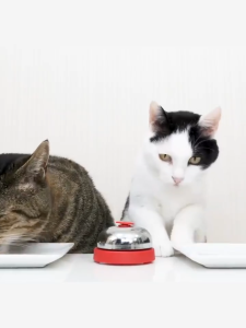 Chuông bấm huấn luyện Chó Mèo hình dấu chân - Love Pets Shop