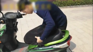 【COD】【M-XXXL】Universal Motorcycle Seat Cover 3D Mesh Elastic Motorbike Breathable Heat-resistant Anti-Slip Protector Covers