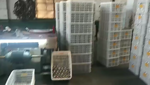 Botol Thermos Travel Vaccuum Air Termos Sport Outing Stainles Vacuum Cup Tumbler Tahan Panas Dingin