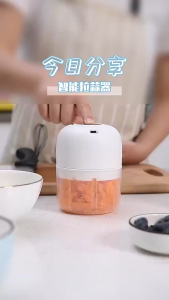 Máy Xay Mini Tỏi Ớt Cầm Tay 250ML Sử Dụng Cổng Sạc USB Siêu Tiện Lợi Mẫu Mới 2025