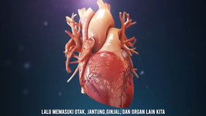 Obat Vertigo Menurunkan Darah Tinggi Hipertensi Kolesterol Apirex Bharata 100% Asli BPOM 50 Kapsul