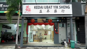 YK Herbs 野生虎乳灵芝(3 Free 1)Pure Tiger Milk Mushroom Powder 虎乳灵芝 虎乳芝