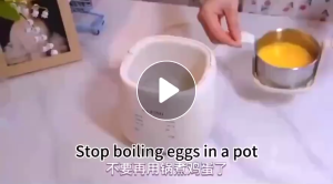 Household Multifunctional Electric Egg Cooker Yogurt Maker with Timer Reservation Fully Automatic