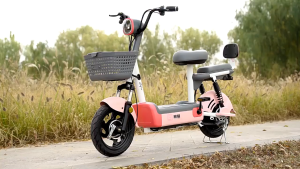 Aisun 001 Electric Bicycle: 350W 48V Brushless Motor & High-Performance E-Bike