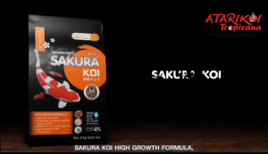 Sakura Fish Food - High Growth - 15KG (Floating)