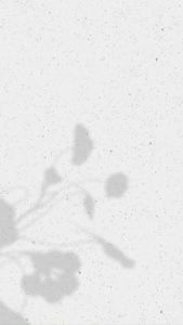 🚚ส่งภายใน24ชม🚚รถบัสโฟล์คสวาเก้น T1 ใช้งานร่วมกับ LEGO 1:1 Building ( 1334ชิ้น) บล็อกตัวต่อประกอบของเล่นเพื่อการศึกษาของขวัญคอลเลกชันตกแต่ง