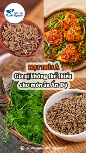 Hạt thì là Ấn Độ 100g (Cumin seed gia vị thơm ngon cho món ăn) - Thảo Dược Hạnh Nguyên