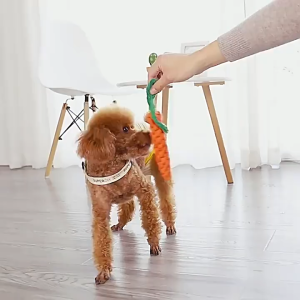 Đồ chơi gặm sạch răng cho Chó hình củ cà rốt bằng dây thừng bện (Mẫu mới) - Love pets shop