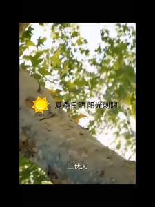 【ซื้อ1แถม1】ป้องกันรังสียูวี ป้องกันการแอบมอง การสัมผัสกระจกเต็มรูปแบบการเคลือบสูญญากาศด้านหนึ่งที่มองเห็นได้ฟิล์มกระจกสติกเกอร์หน้าต่าง