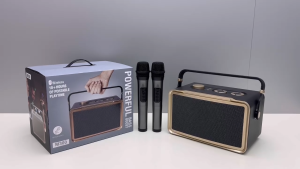 ลำโพงบลูทูธ รุ่น M300 แถมไมค์สองตัวรองรับUSB TF เพิ่มเสียงลดเสัยงได้ มีที่หิ้ว ดีไซน์สวย ร้องคาราโอเกะได้ 💥 ลำโพงแบบพกพา เครื่องเสียง