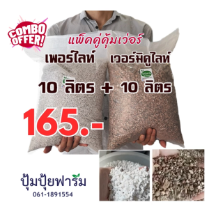 เพอร์ไลท์-perlite(980g-1000g) + เวอร์มิคูไลท์-vermiculite(1.3-1.4 kg) (ประมาณ10+10 ลิตร) เยอะจุกๆ