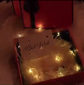 Dây Đèn Led Trang Trí  Bóng Tròn Sợi Lớn Nhiều Màu Trang Trí Noel Lễ  Party