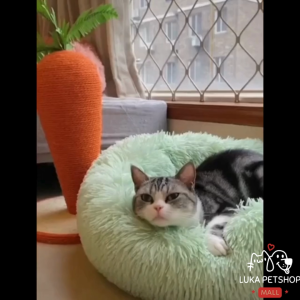 Luka😊พร้อมส่ง💯 ที่นอนสัตว์เลี้ยง ที่นอนแมวนุ่ม เตียงแมว เบาะ เตียงสุนัข เบาะแมว นุ่มสบาย พื้นกันลื่นด้านล่าง ซักได้ ที่นอนหมา ที่นอนสุนัข ที่นอนแมว