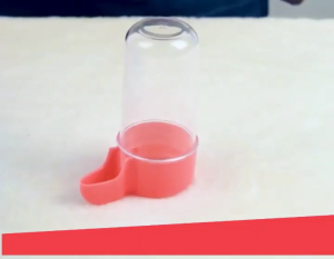 Bình đựng nước và thức ăn tự động cho chim Vẹt gắn chuồng (mẫu mới) -Love Pets Shop