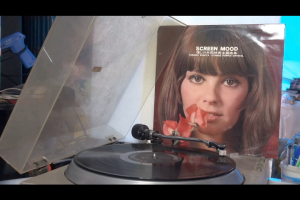 1 แผ่นเสียง 12นิ้ว h53 SCREEN MOOD แผ่นVG+ริ้วรอยบาง เสียงรบกวนนิดหน่อยไม่มีรอยลึก แผ่นล้างทำความสะอาดแล้ว ปกVG+มีตำหนิขอบนิดหน่อย ขอบไม่ขาด สันไม่ทะลุ