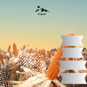 8 ขุน เซ็ทโปรโมชั่น 1 ลิตร ถม 500 ซีซี พืช พูดฉีด เครื่องดื่ม การฉีด ฝรั่ง สาหร่าย อาหาร เสริม ผลิตภัณฑ์ทางใบ สาหร่าย แก้ปัญหาข้าว โพด น็อค ต้นใบม่วง