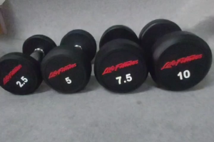 ดัมเบลกลมหุ้มยาง 17.5 กิโล (1 ข้าง)ดัมเบลหัวกลม Life Fitness ดัมเบลหุ้มยาง Fixed Weight Round Rubber Dumbbell