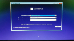 Microsoft Windows 11 Professional 64bit Product key only