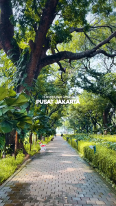 NEW Brica Bsteady 2 Pocket - 3 Axis Gimbal Stabilizer Smartphone - Gray