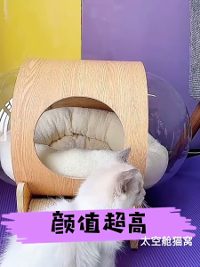 Comfortable Capsule Cat Bed with Large Space and Matching Cushion